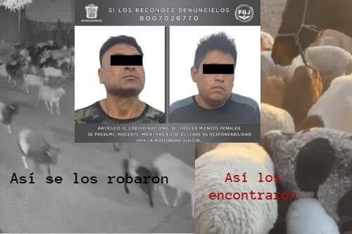 Videos: Roban 190 cabezas de ganado y los cancha la cámara de video vigilancia